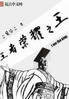 王者荣耀之王
