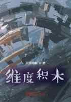 维度积木