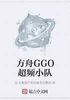 方舟GGO超频小队