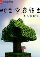 MC之空岛领主