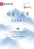 明星总冠军