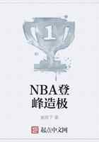 NBA登峰造极