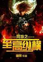 网游之至高纵横
