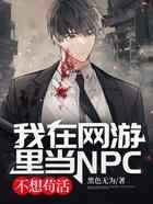 腹黑NPC