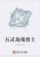 五灵龙魂勇士