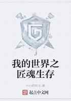 我的世界之匠魂生存