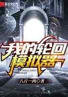 我的轮回模拟器