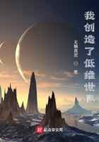 我创造了低维世界