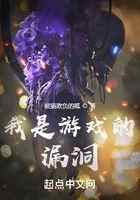 我是游戏的漏洞