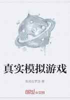 真实模拟游戏