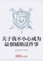 关于我不小心成为最强辅助这件事