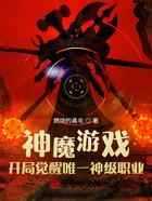 神魔游戏：开局觉醒唯一神级职业