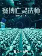 赛博亡灵法师