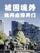 被困境外，我开启异界门