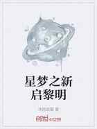 星梦之新启黎明