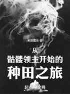 从骷髅领主开始的种田之旅