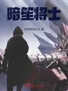 暗笙将士