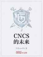 CNCS的未来