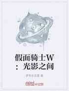 假面骑士W：光影之间
