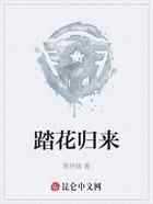 踏花归来