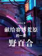 献给赛博荒原的一束野百合