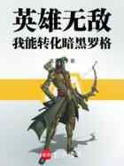 英雄无敌：我能转化暗黑罗格