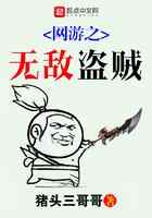 网游之无敌盗贼
